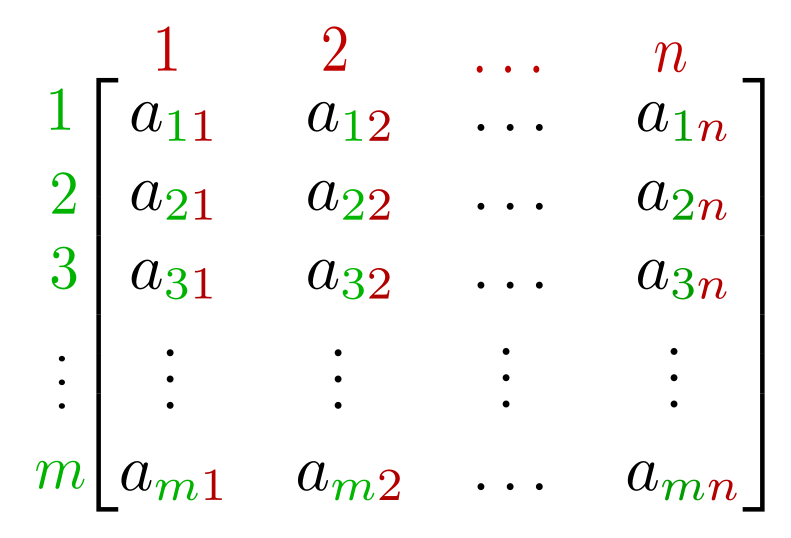 A matrix in math